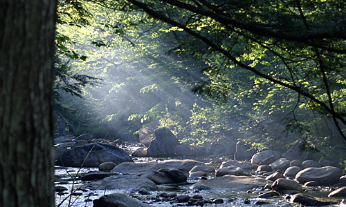 Walker Brook, Campsite View